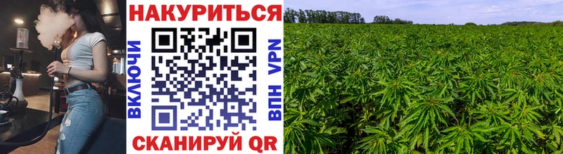 Где можно купить наркотики Чердынь ГАШ  КОКАИН  МЕФ  А ПВП  Канабис 