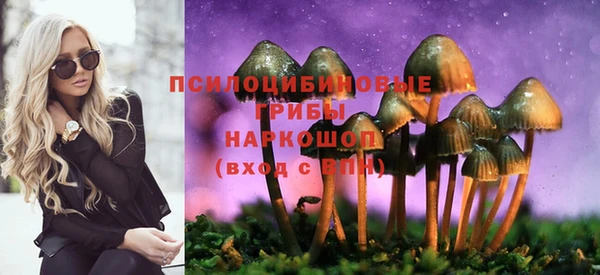 a pvp Абинск