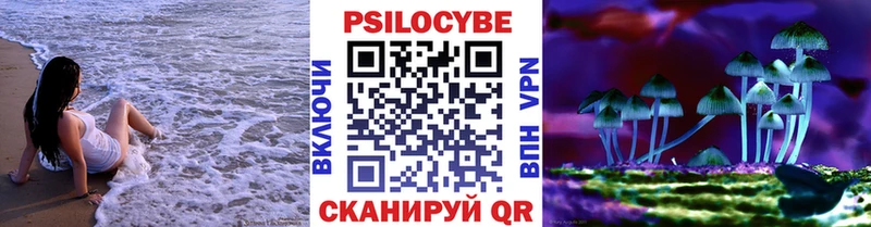 что такое сайты даркнета наркотические препараты Псилоцибиновые грибы прущие грибы Чердынь