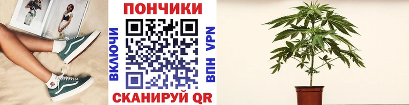 Канабис план  mega ONION  Чердынь  цены наркотик 